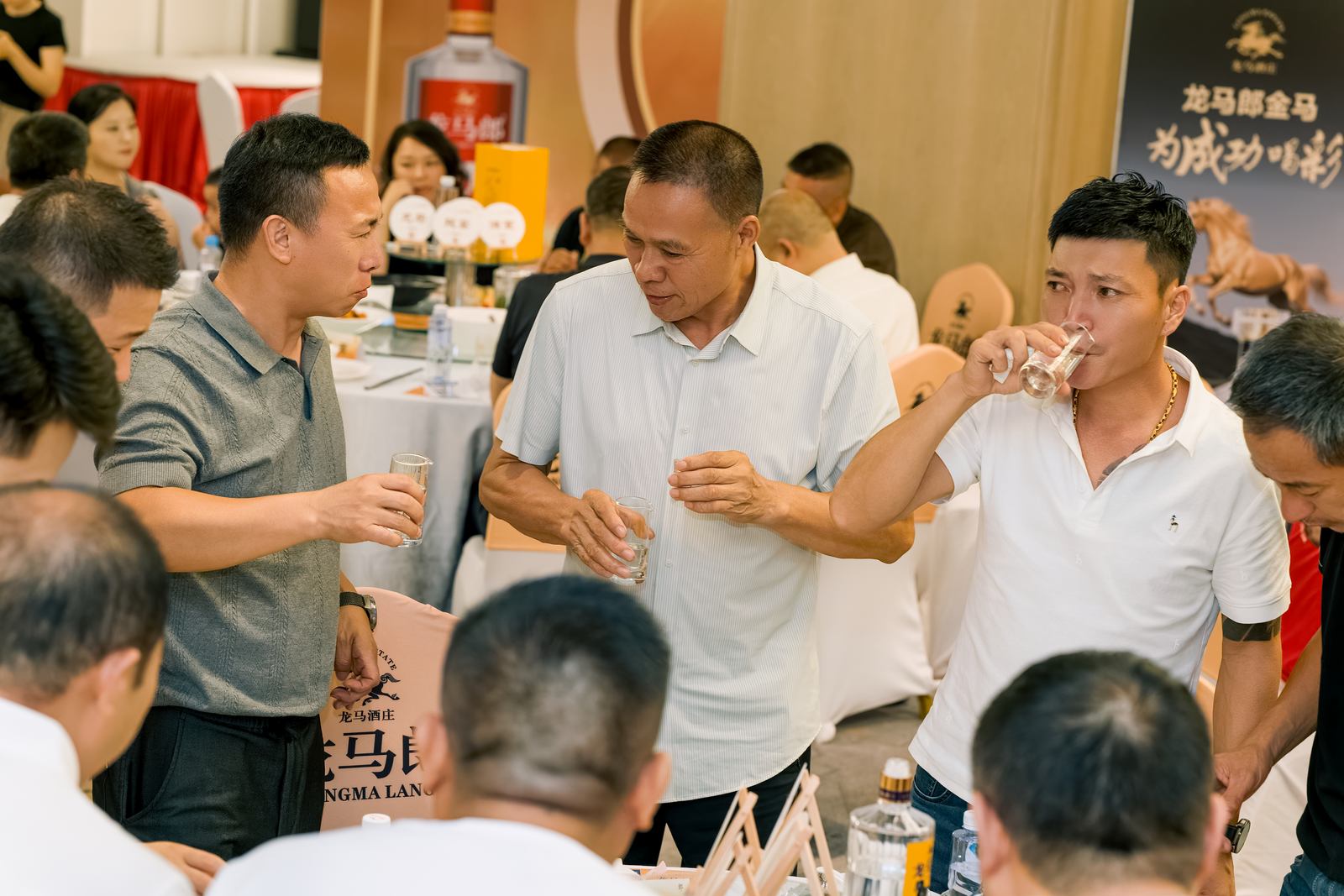 龙马郎龙马宴品质推广会嘉宾分享照片 067